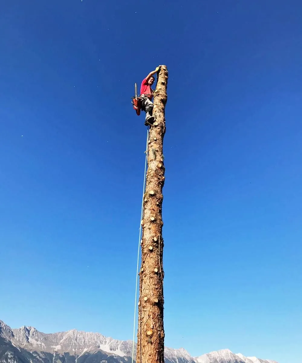Unternehmen 1 Bild LB GARTENGESTALTUNG OG