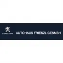 FRIESZL AUTOHAUS GMBH Kfz-Ersatzteile, Kfz-Zubehör Einzelhandel am Unterwart 1