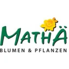 MATHÄ CHRISTIAN