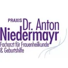 DR. ANTON NIEDERMAYR